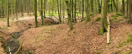 Natürlicher Schutz durch einen Bachlauf links, rechts der Wall der Befestigungsanlage