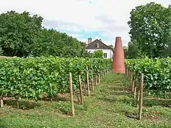 Weinberge im Parc de Bercy