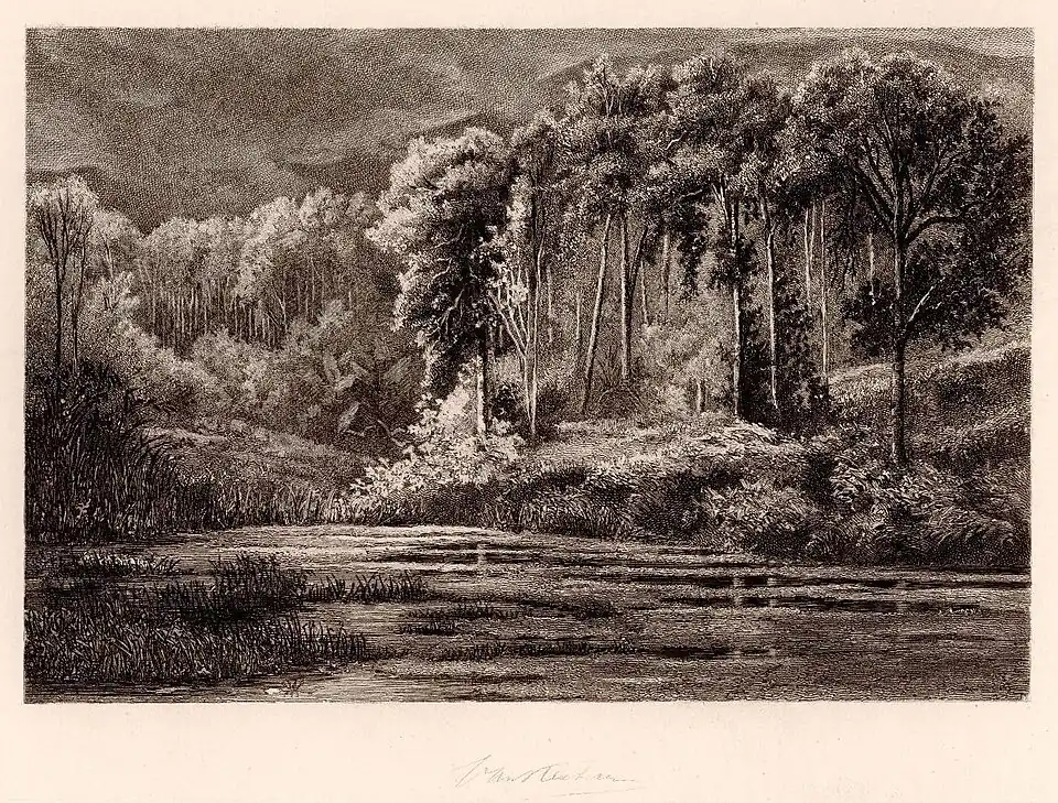 Nahendes Gewitter am Nordwesthang des Bergmassivs Gedé-Pangrango unweit des kleinen Dorfes Sindanglaya in einer Meereshöhe von etwa 1000 Meter. Dieses stimmungsvolle Bild ist ein im Jahre 1882 mit höchster Genauigkeit gefertigter Stahlstich. Ein Blitz lässt die hellen Stämme der Rasamala-Bäume weiß aufleuchten. Erste Windböen kräuseln das Wasser des Teichs.