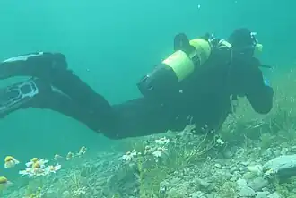 Taucher im Lai da Marmorera