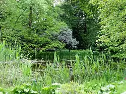 Großer Teich, ehemalige Quelle des Heidekampgrabens