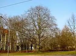 Maria-Jankowski-Park