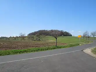 Blick zum Steinberg bei Bertsdorf