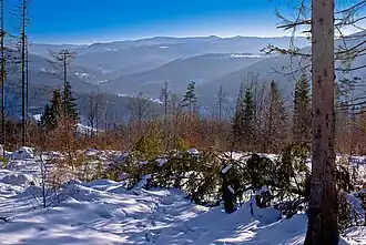 Blick vom Gipfelbereich ins obere Weichseltal