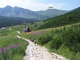 Von der Alm Hala Gąsienicowa