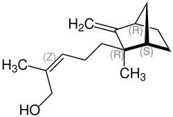 Strukturformel von (–)-β-Santalol