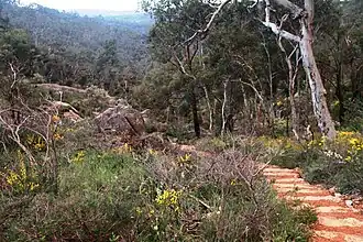 Bibbulmun Track im Kalamunda-Nationalpark