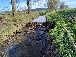 Biberdamm am Unterlauf der Osterhofer Ach