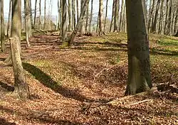 Bodenvertiefung auf dem Plateau der Bergkuppe