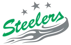 Logo der Bietigheim Steelers