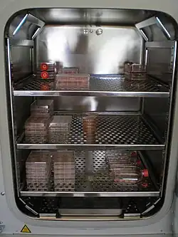 CO2-Inkubator geöffnet