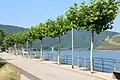 Hafenpark Bingen am Rhein