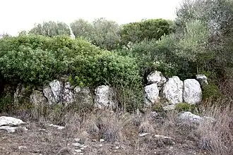 Ein noch nicht ausgegrabenes Rundhaus