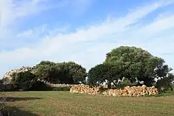 Die Taula von Binimassó (rechts) und der Talayot von Binicalsitx (im Hintergrund links)