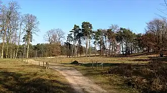 Flugsandflächen bei Schwetzingen (Rhein-Neckar-Kreis)