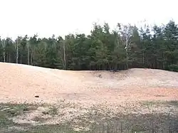 Binnendüne in Norden von Nürnberg (Erlenstegener Forst)