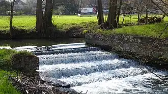 Flussteilung bei Binsfeld