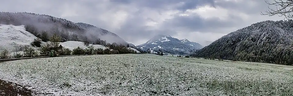 Die aneinanderstossenden Biotope Im Moos Reuthe und Im Moos Bizau. Blick nach Osten, im Hintergrund der Hirschberg