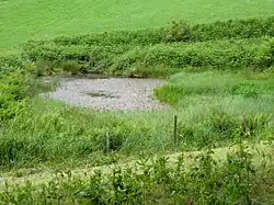 Naturdenkmal Wiesentümpel