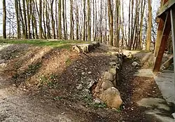 Fundamentreste des Bismarckturmes Malente (rechts davon der Holzbergturm)