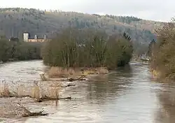 Ostspitze des Werders nach dem Winter mit hohem Wasserstand der Werra