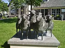 Schapen