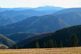 Blick vom Eisenstein zum Eibl mit den ehemaligen Schipisten, im Hintergrund der Göller