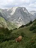 Blick auf Bulnes