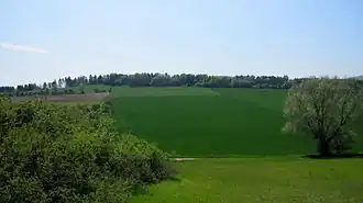 Blick von Nordnordwesten zum Heinberg mit dem Heinturm