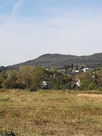 Blick auf den Bilstein aus nordöstlicher Richtung, im Vordergrund liegt Großenritte