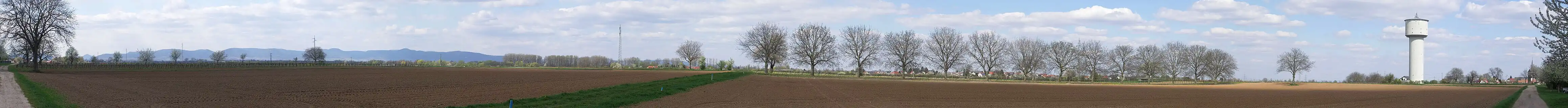 Panorama von Lustadt