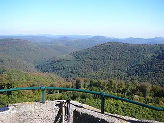 Blick vom Weißenberg über den Mittleren Pfälzerwald nach Osten: Hochplateau des Taubensuhls mit Erlenkopf vgl. Bildhintergrund links
