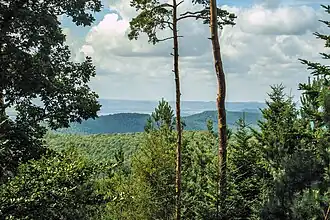 Blick vom Turm des Wasenkoepfels
