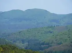 Blick von der Hohen List zum Maimont.JPG