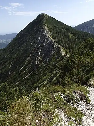 Der Gipfel der Brecherspitz von Westen