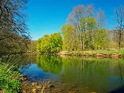 Blies zwischen Breitfurt und Blickweiler, Blick nach Westen