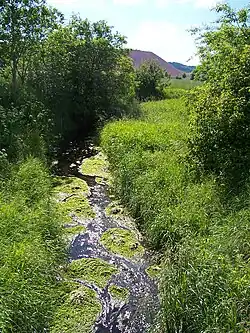 Die Bode in Bischofferode, Richtung Holungen gesehen