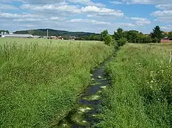 Die Bode in Bischofferode