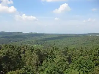 Blick vom Hausbergturm zu den Bodenroder Kuppen mit dem Hesselberg (links), dem Hainbuchenkopf und dem Hintersten Kopf (Mitte, flachwellg), dem Gickel (Abdachung nach rechts, leichte Aufwölbung) und einem Teil des Gaulskopfs (ganz rechts), mit davor liegenden Häusern von Espa