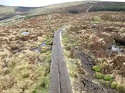 Bohlenweg auf den Djouce Mountain