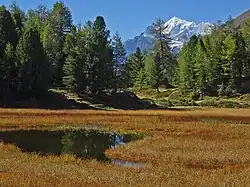 Bonigersee mit Weisshorn (Moosalp)