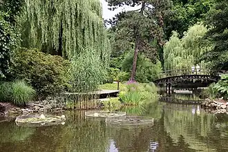 Teichanlage mit der Holzbrücke