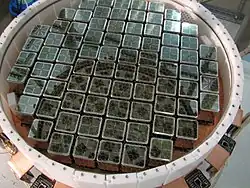 Bottom PMT Array of XENON100