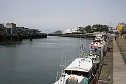 Liane nahe ihrer Mündung