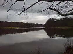 Der Brückweiher in Jägersburg