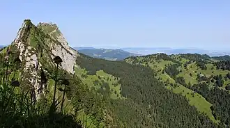 Der Brüggler vom Westhang des Wageten.