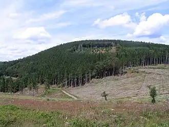 Blick von der Nordnordostflanke des Rimbergausläufers Knüppelhagen nordwärts zur Bracht
