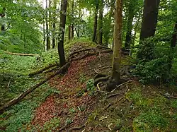 Wall- und Graben im Vorfeld unterhalb der Burgruine