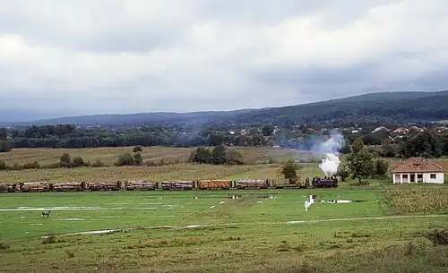 Ehemaliger Bahnhof Brădiceni (1996)