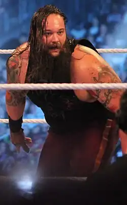 24. August: Bray Wyatt (2014) (36)